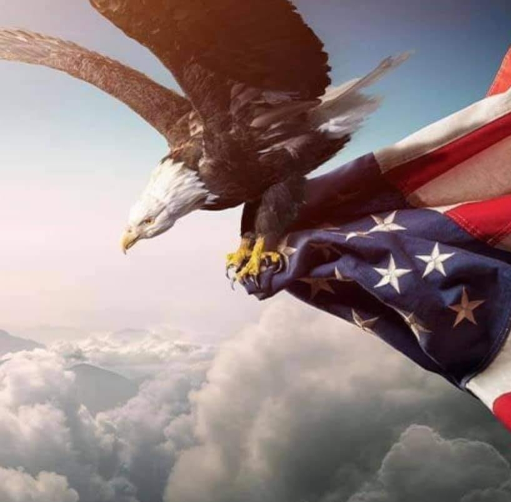 Meet your Posher, Jaccie